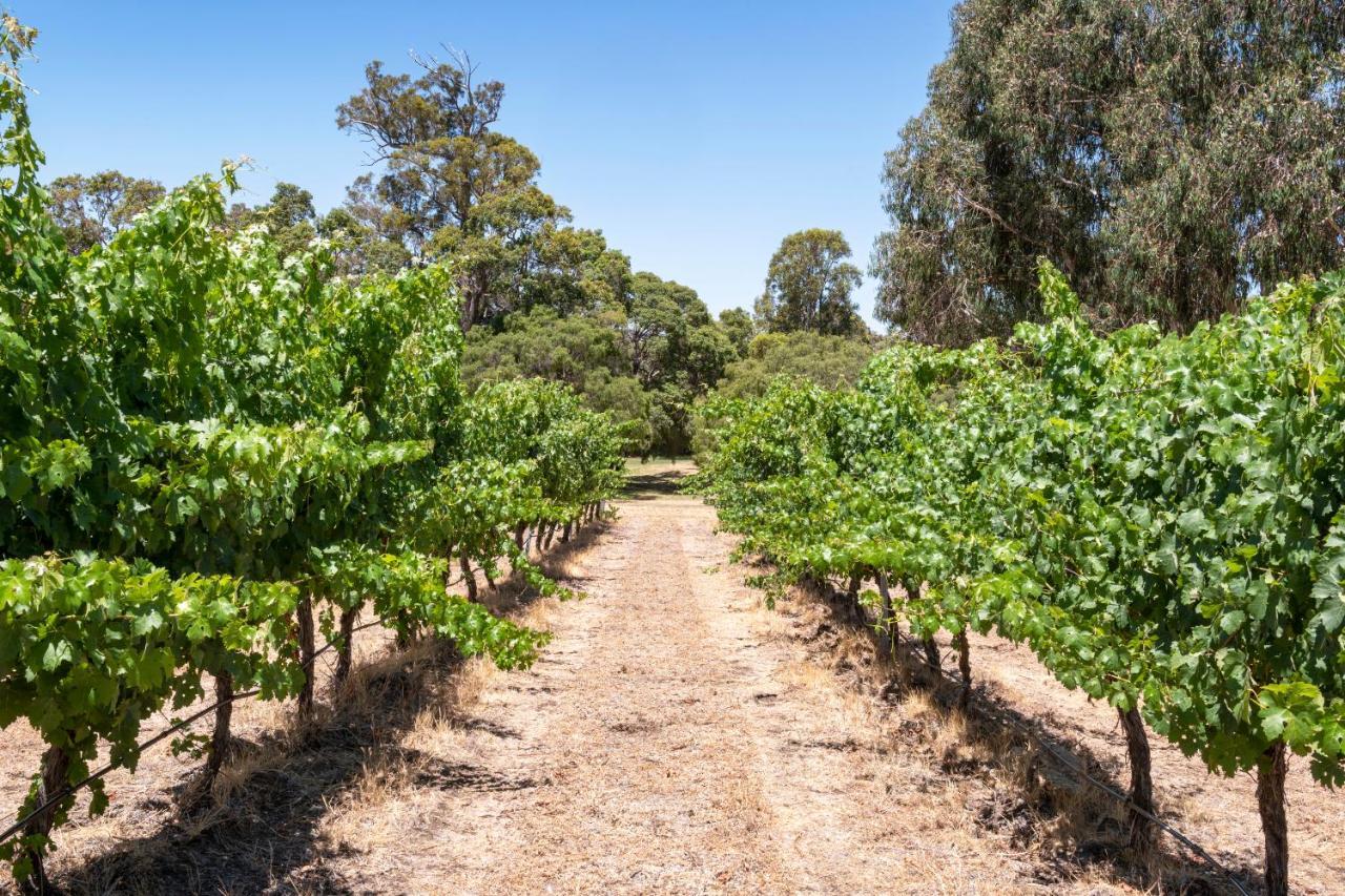 Island Brook Estate Vineyard And Chalets Yelverton Buitenkant foto