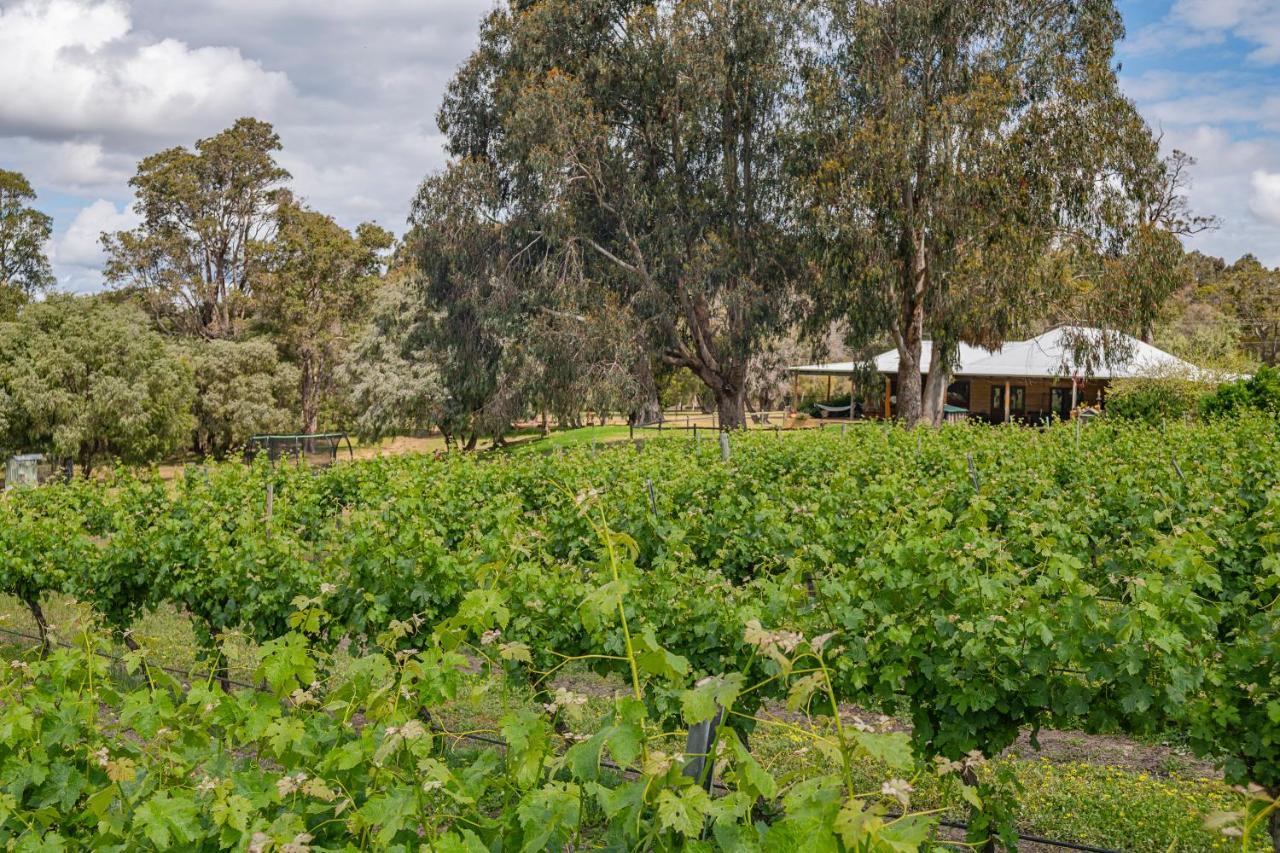 Island Brook Estate Vineyard And Chalets Yelverton Buitenkant foto